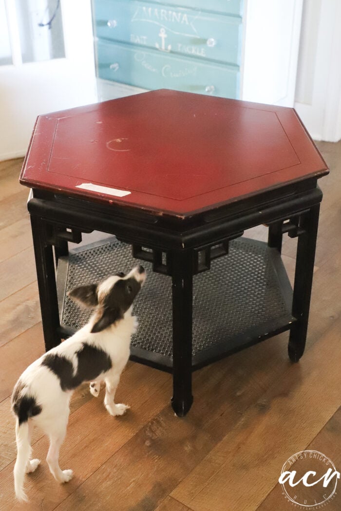red and black table with gray and white dog