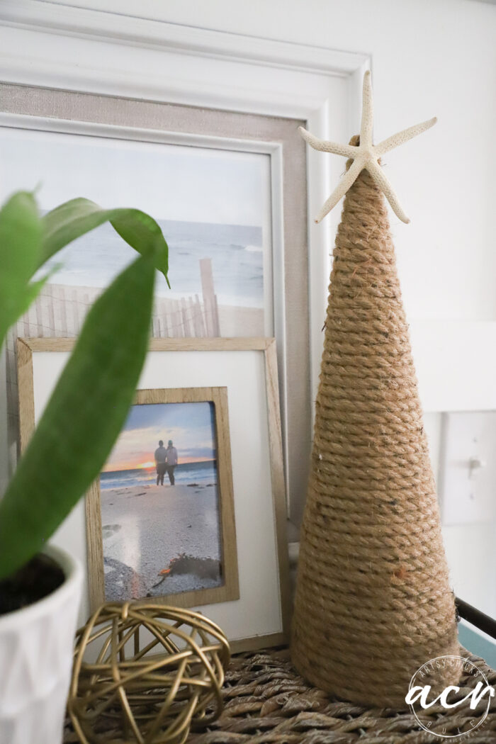 christmas tree with rope and starfish on top