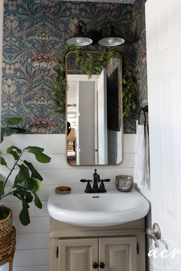 guest bath with greenery on mirror