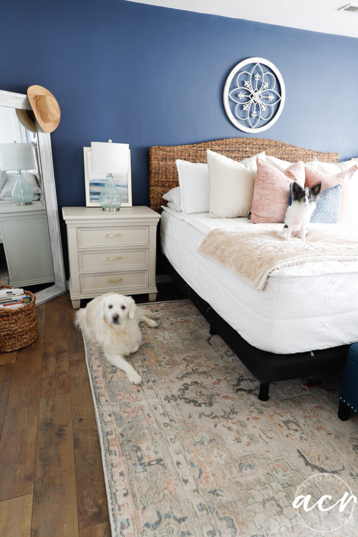 bedroom with white dog on floor and black and white dog on bed