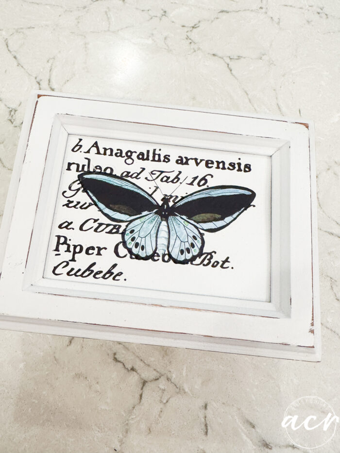 small white box with words and blue butterfly
