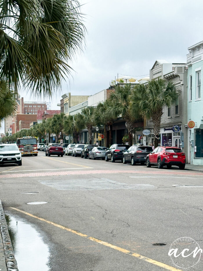 looking down the street at the palm trees