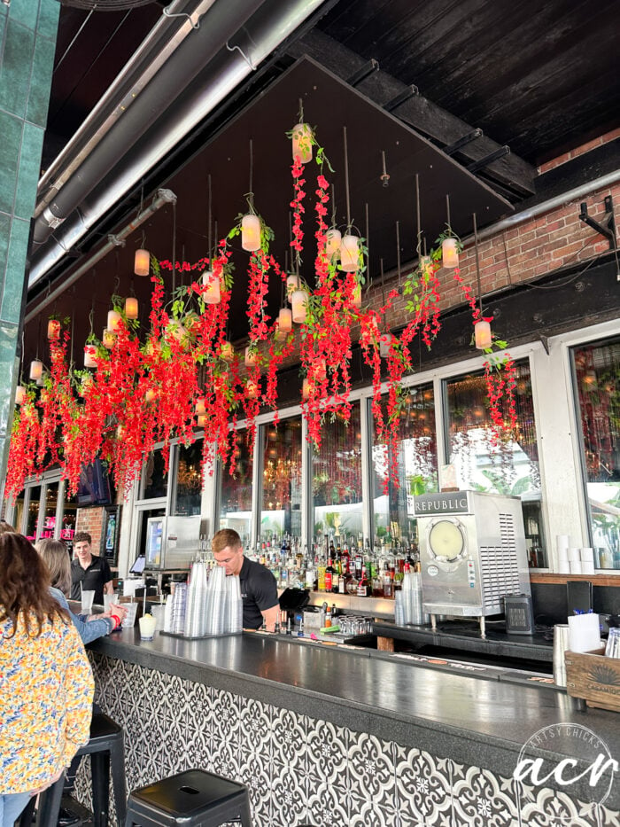 red flowers haning over the bar