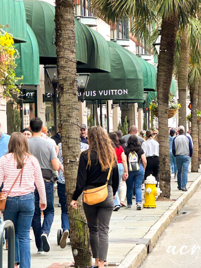 louis vuitton in charleston