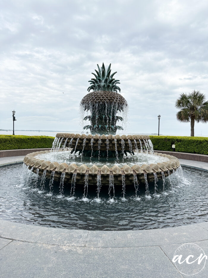 pineapple fountain