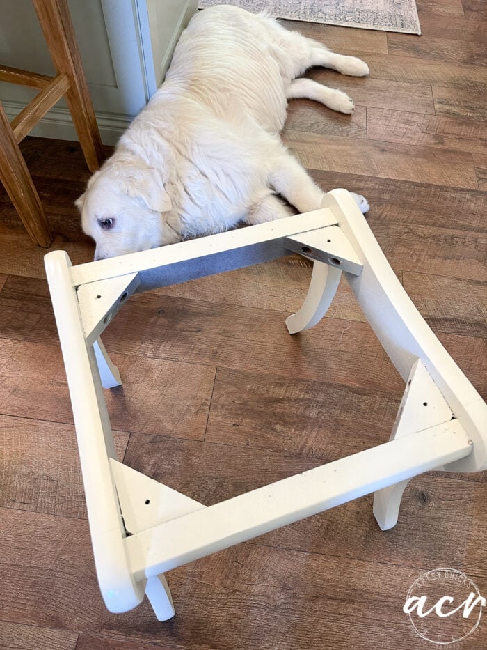 white dog and white footstool base