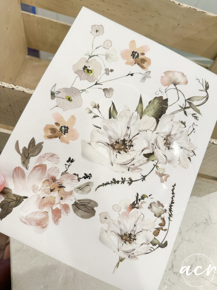 sheet of transfers