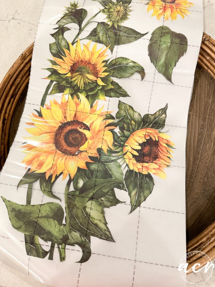 sunflower transfer laying out on tray