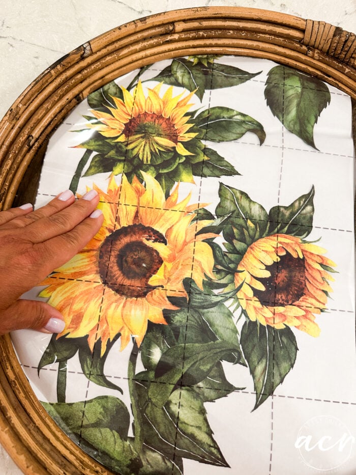 sunflower transfer laying on tray