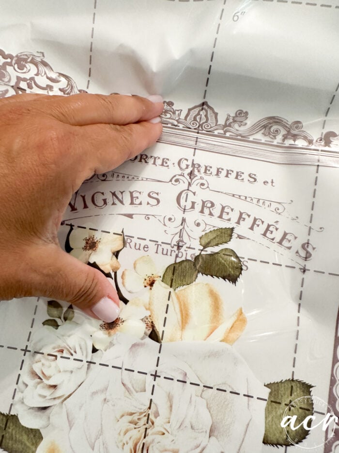 laying out transfer on tray