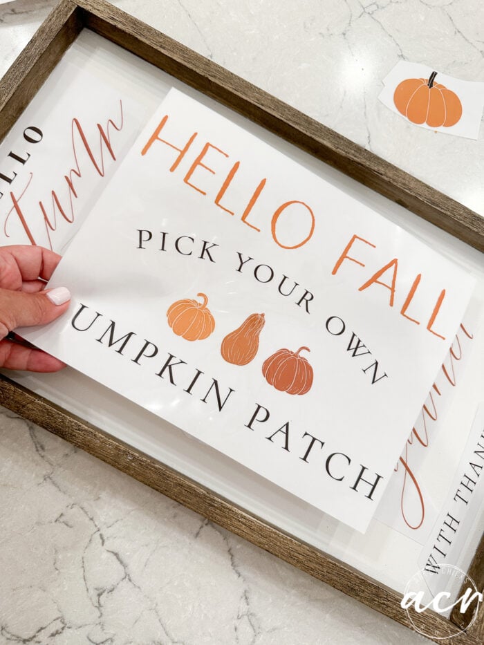 festive fall transfers