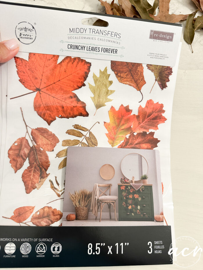 orange and brown fall leaves transfer called crunchy leaves forever
