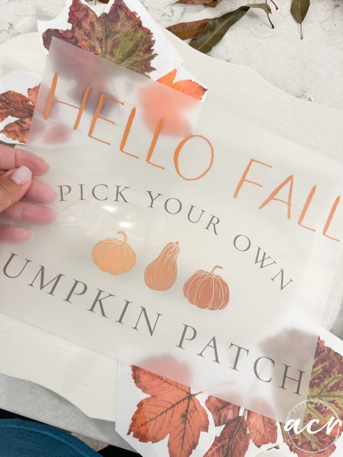 hello fall transfer