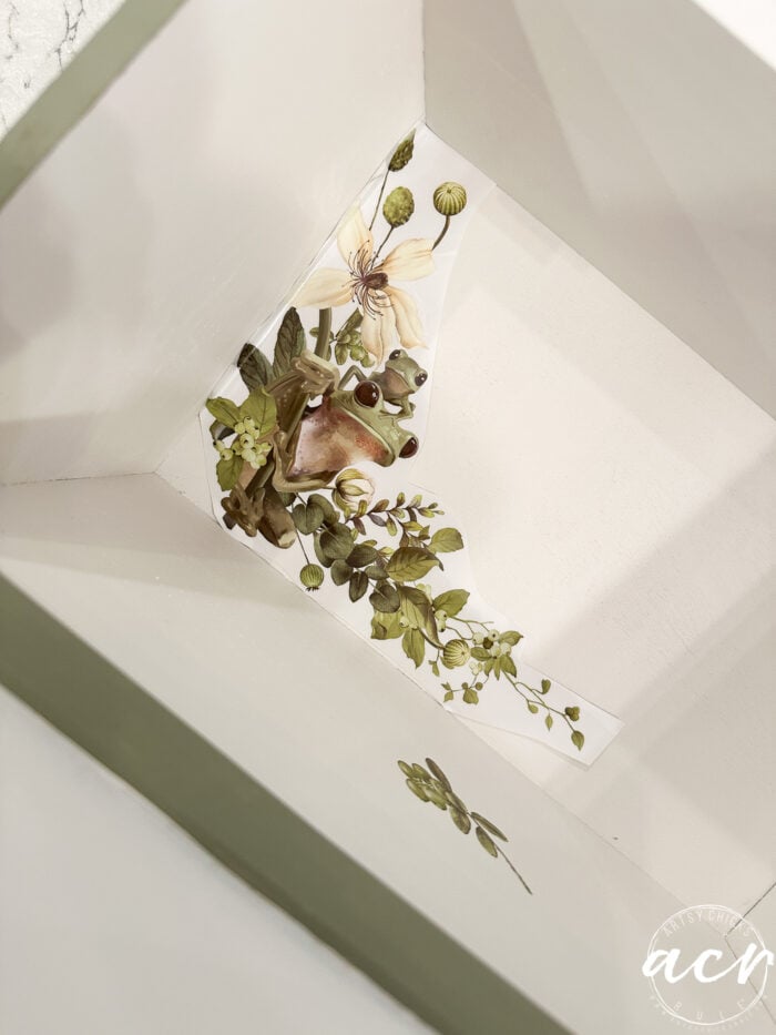 laying transfer with frog on inside