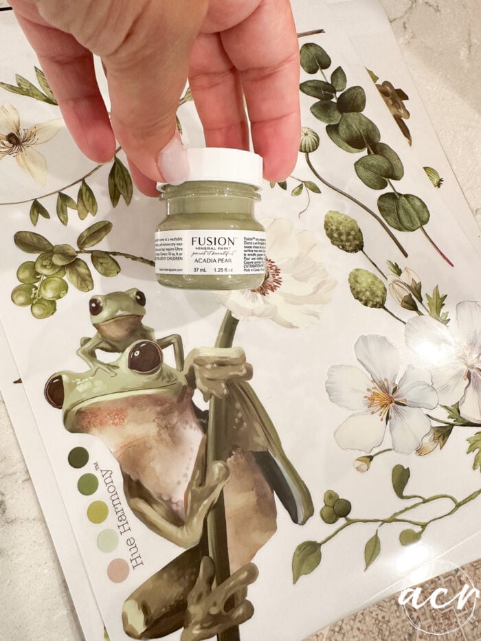 jar of acadia pear paint and froggy meadows transfer