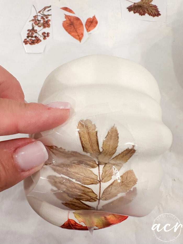 applying the transfers to the pumpkins