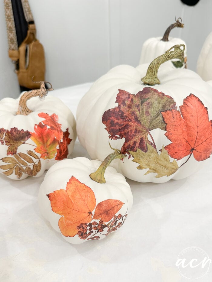 finished pumpkins with orange leaf transfers on counter