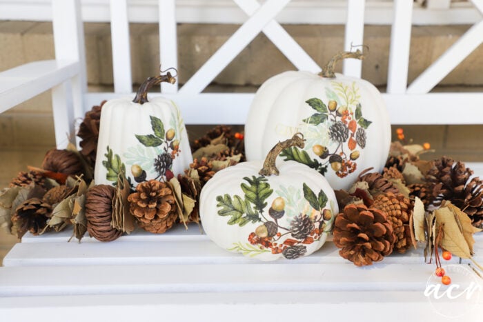 white pumpkins with napkin decoupage and pine cones on white bench