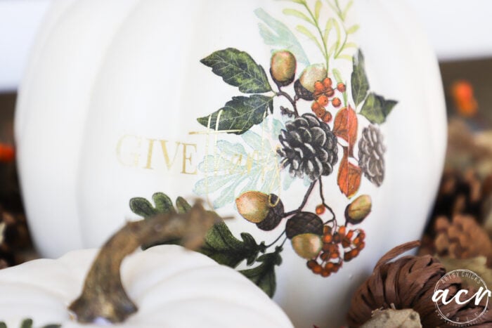 close up of white pumpkin with give thanks napkin 