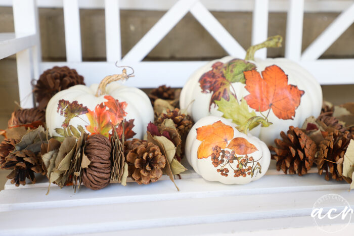 white pumpkins with orange leaves and pine cones on white bench