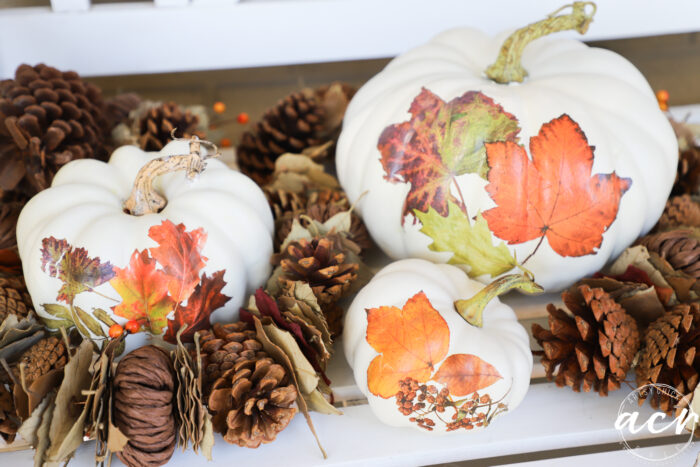 white pumpkins with orange leaves and pine cones on bench