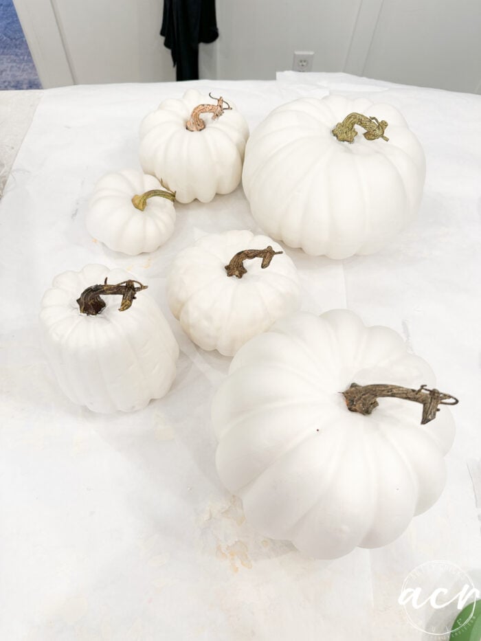 white painted pumpkins with stems back in place