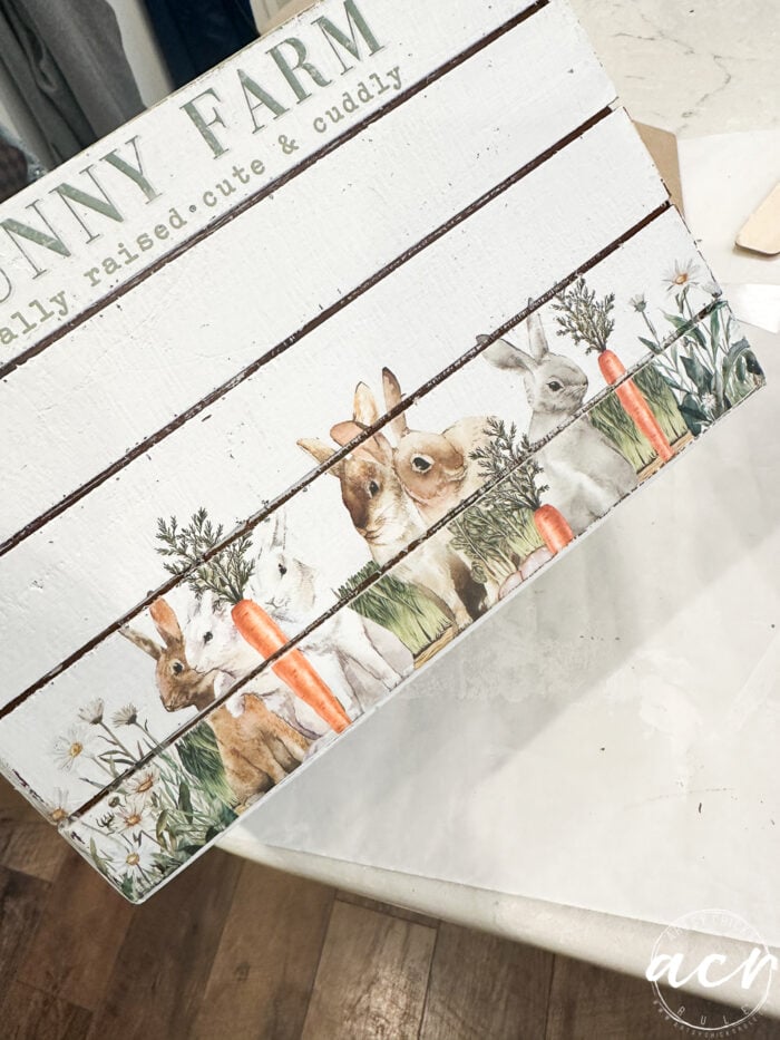 bunny transfer crate done