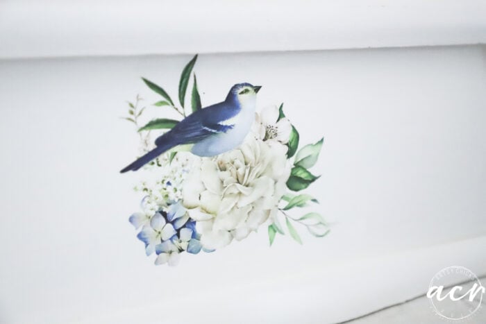 blue bird stencil sitting on a white flower on front of bread box