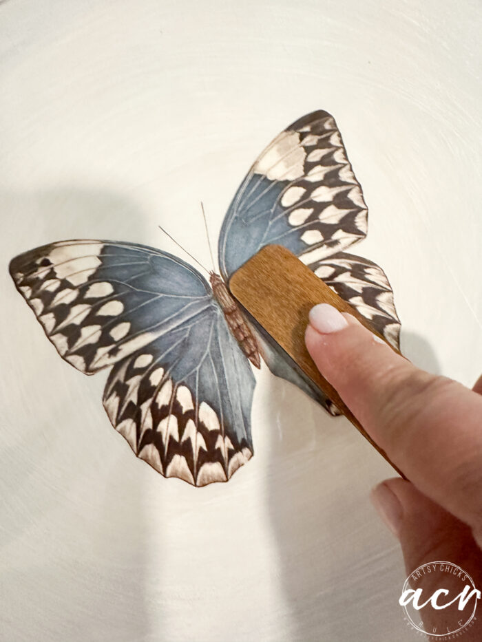 transferring big blue butterfly to seat
