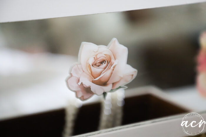 pink rose on mirror up close