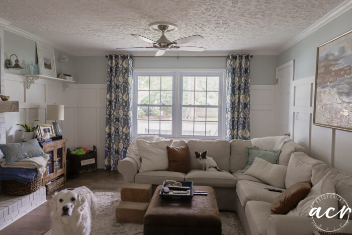 blue patterned curtains with white dog and black and white small dog on couch
