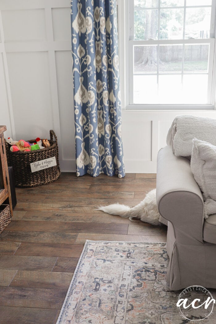 blue curtains and white dog tail sticking out from behind couch