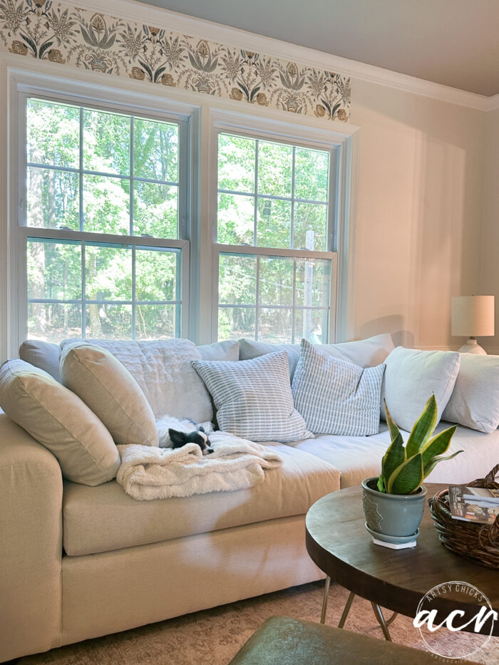 couch with puppy and window with wallpaper half done above