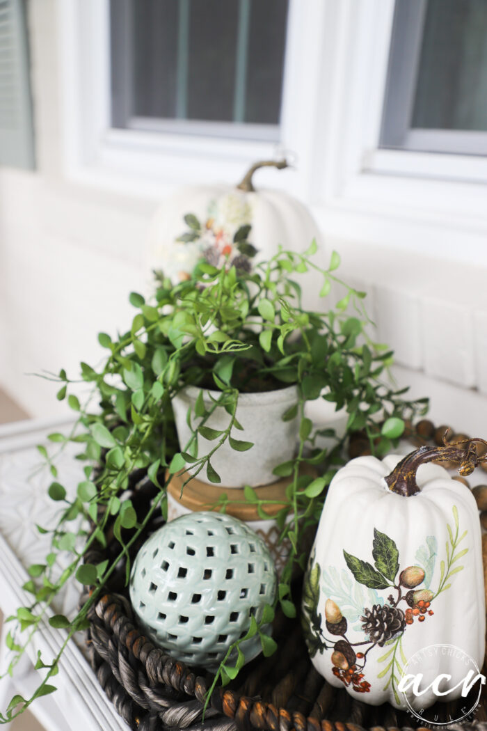 table top with green plant and white pumpkin with decorative finish