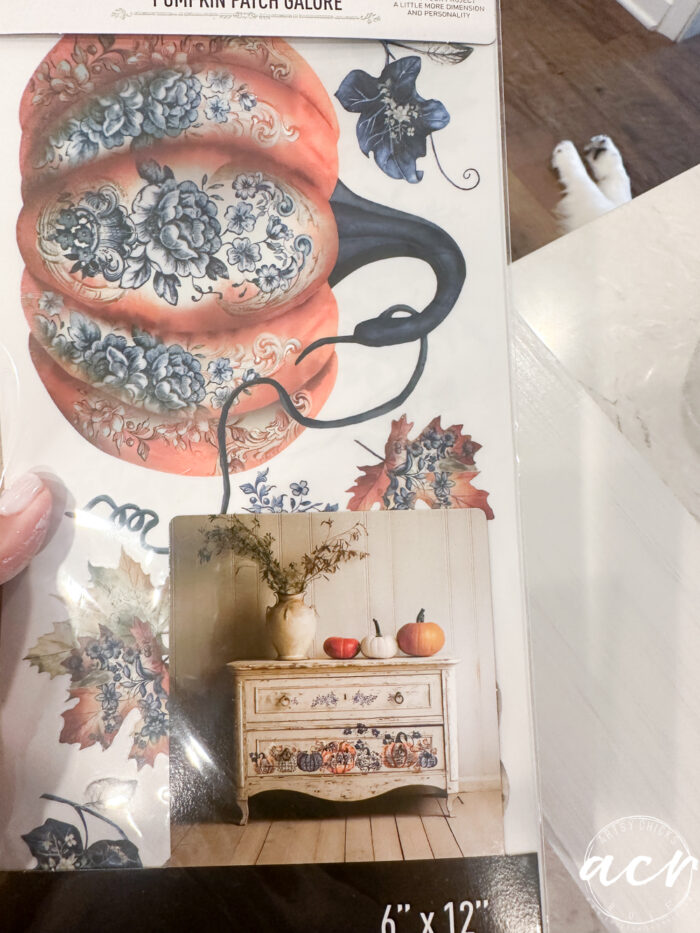 pumpkin patch galore transfers