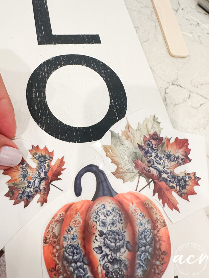 laying out the pumpkin transfers