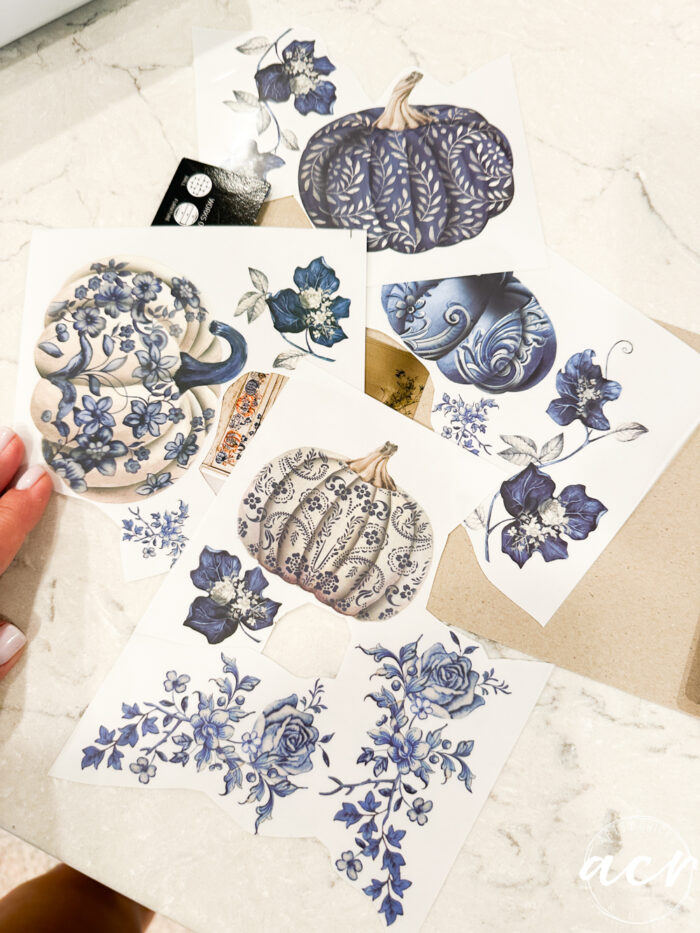 blue and white pumpkin transfers