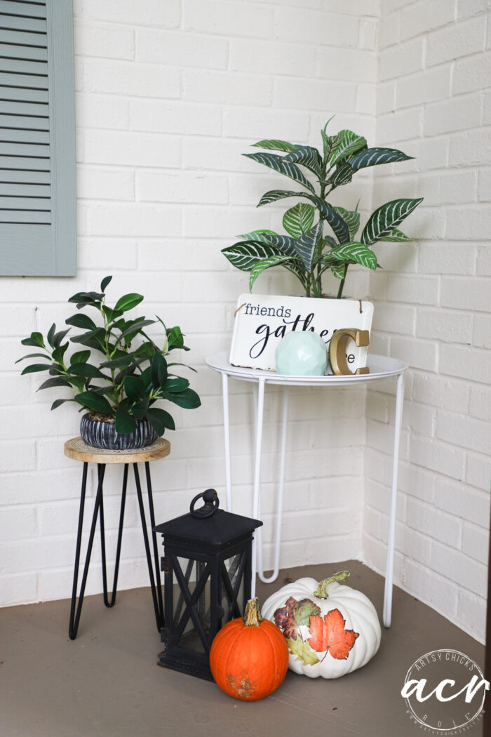 green plants with black lantern and orange pumpkins