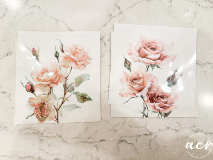 two white squares with pink roses