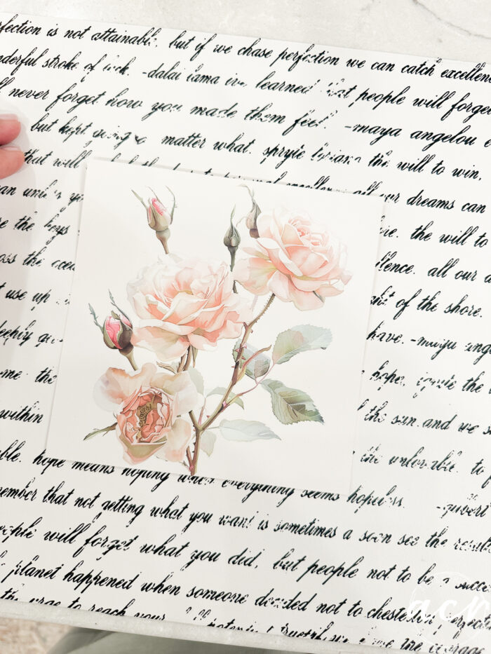 script background with small white square with pink roses on it