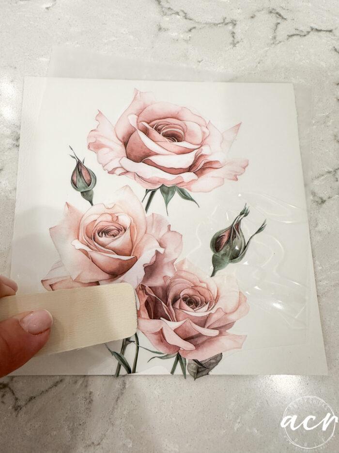 transferring the rose transfer