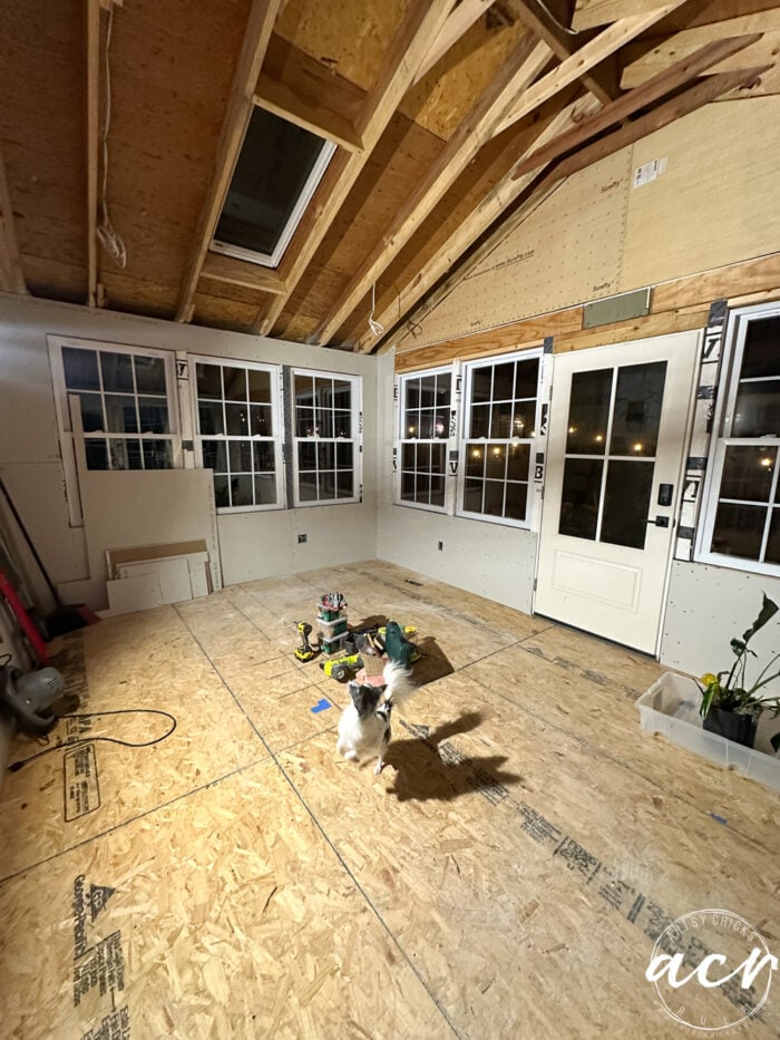 unfinished room with windows and new drywall with black and white pup jumping up in the middle of the room