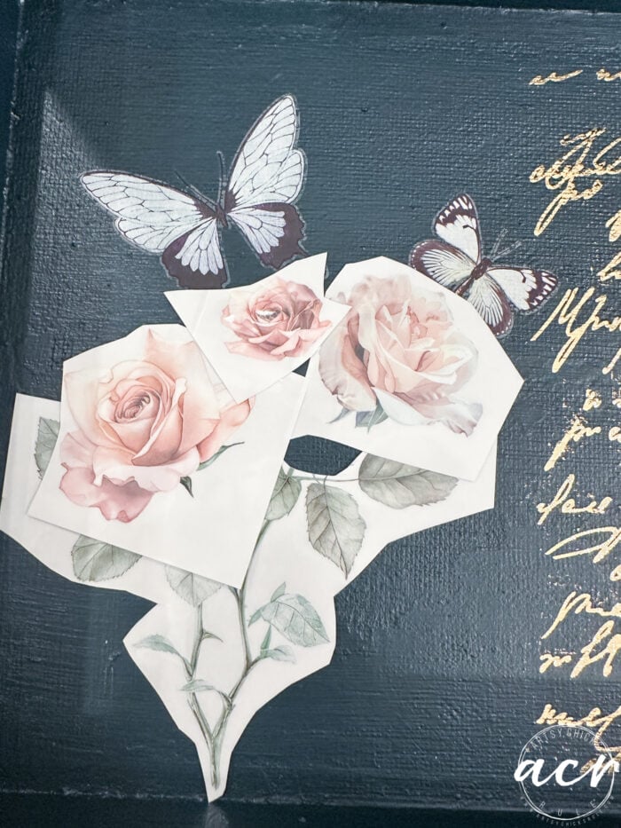 arranging rose transfers inside box