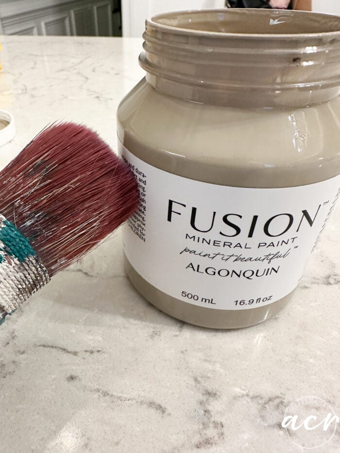 algonquin and paint brush on counter