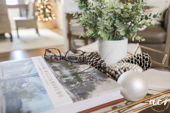 ottoman tray with pine cones and ornament, book and plant