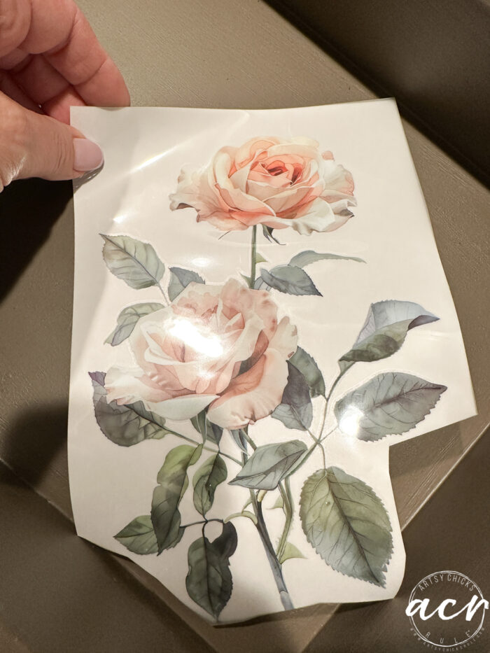 pink roses and green leaves transfer