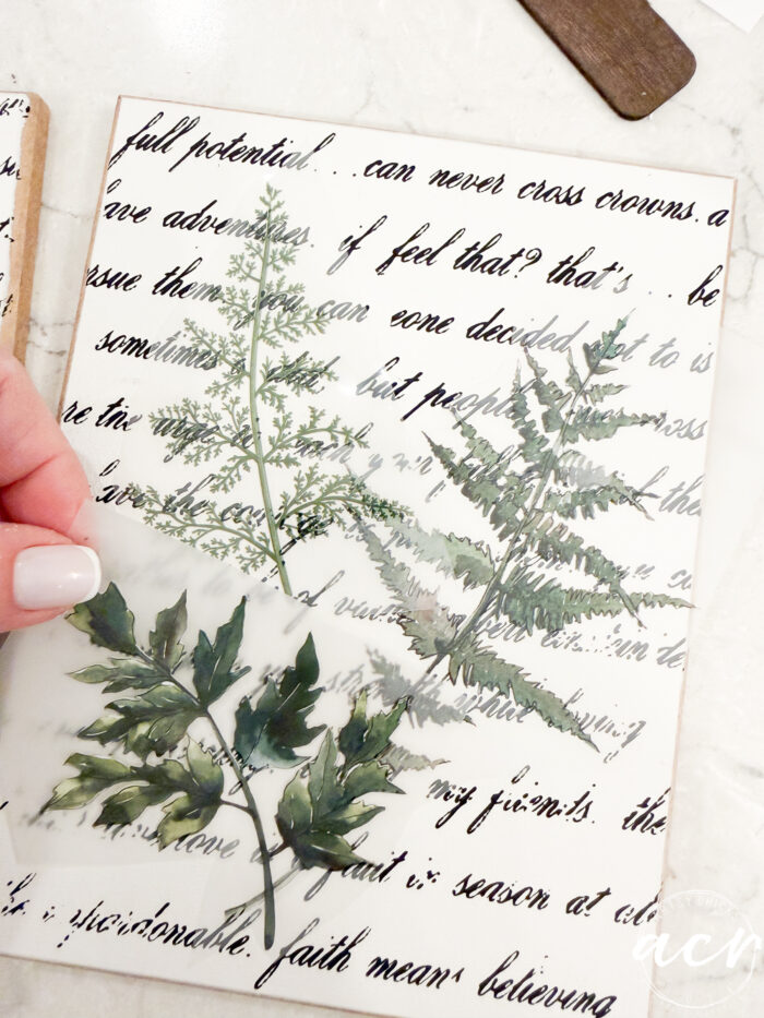 A hand lifts a translucent sheet with painted green leaves, part of the Easter Edition, over paper adorned with black cursive writing and botanical illustrations, creating a layered effect.