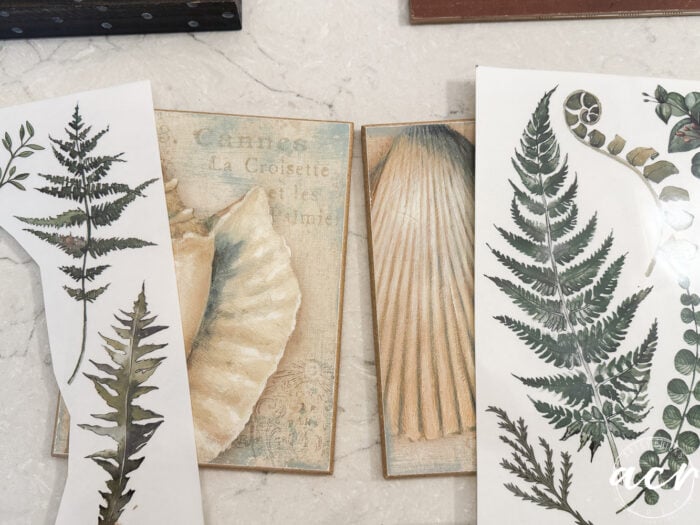 Assorted botanical and shell-themed art prints, including ferns and seashell illustrations, arranged on a light-colored surface. This Easter Edition features the white &ldquo;acy&rdquo; watermark in the bottom right corner.