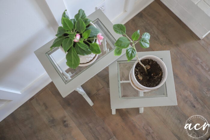 Two potted plants sit on small, gray, glass nesting tables with mirrored tops, placed on a wooden floor near a white wall. One plant has pink flowers and green leaves; the other appears leafy with no flowers.