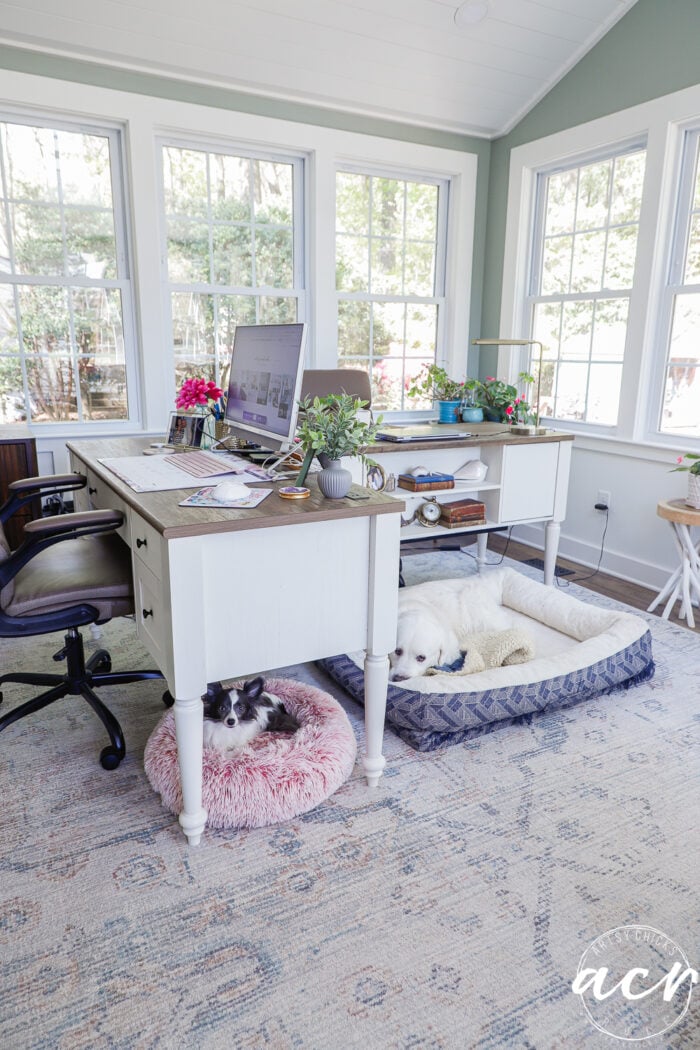 A bright sunroom home office with a large desk, computer, and plants. Two pets, a cat on a pink bed and a dog on a blue bed, rest beside the desk as sunlight streams in&mdash;an inviting space for this Office Reveal.